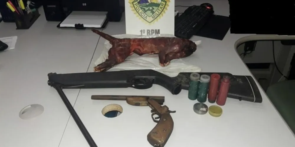 Imagem ilustrativa da imagem Jovem é preso com arma e animal de caça em Palmeira