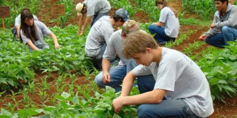 Imagem ilustrativa da imagem Colégio Agrícola da UEPG abre seleção para novos estudantes