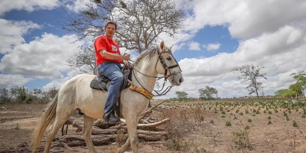Fernando Haddad 
