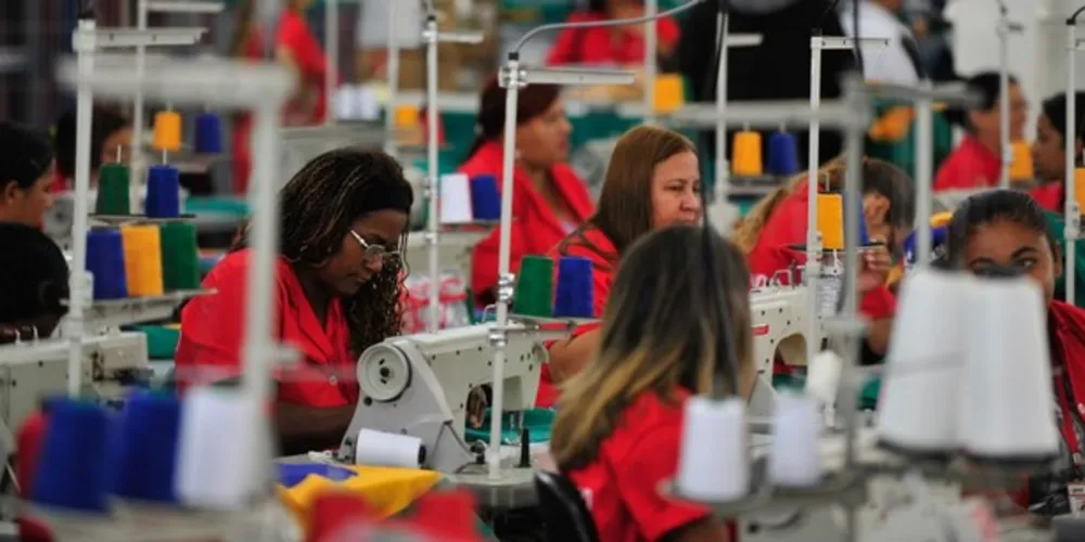 eSocial é sistema por meio do qual empregadores informam ao governo federal dados sobre contratados 