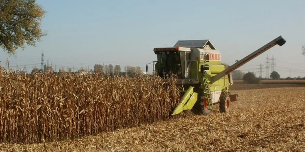 Imagem ilustrativa da imagem Tecnologia é a grande aliada dos Engenheiros Agrônomos