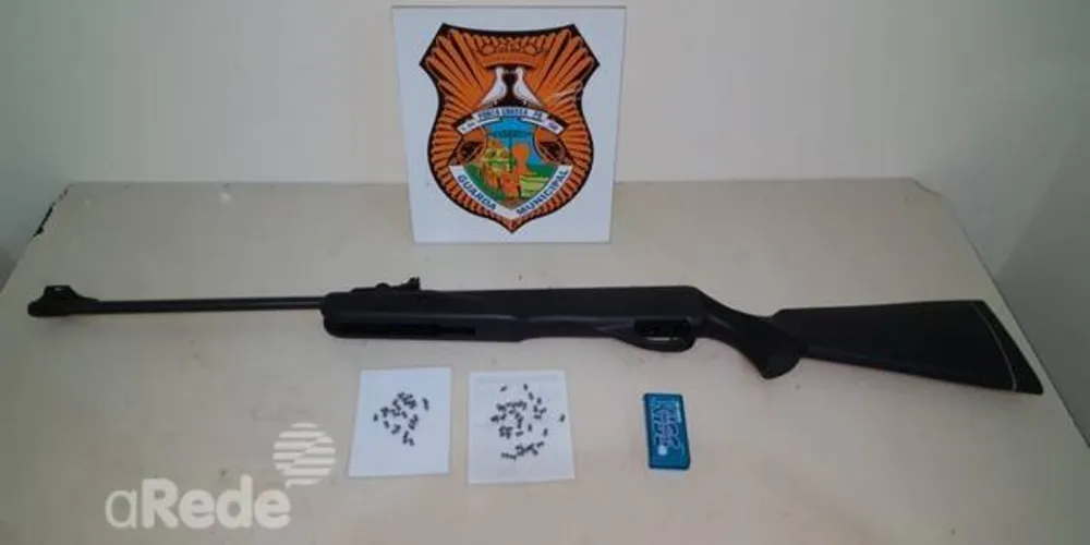 Imagem ilustrativa da imagem Homem atira em cachorro e é detido pela GM