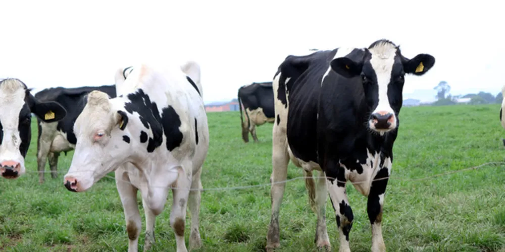 Setor agropecuário é apontado como destaque nos municípios que mais geraram vagas