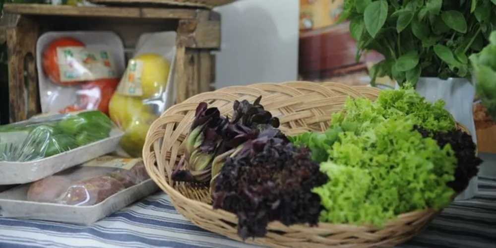 Imagem ilustrativa da imagem Dicas para ter uma alimentação mais saudável