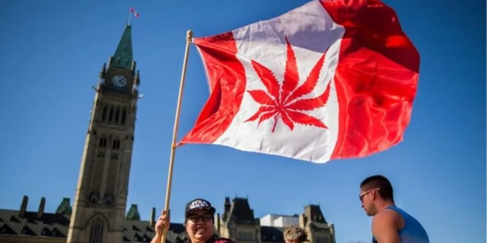 Imagem ilustrativa da imagem Maconha passa a ser legal no Canadá a partir de hoje