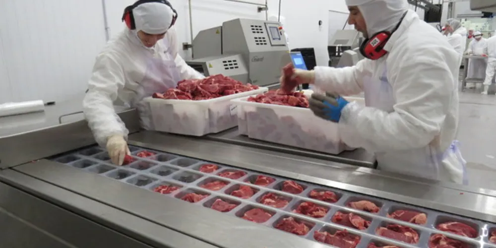 Contínuo crescimento na produção industrial contribui para a elevação nos indicadores
