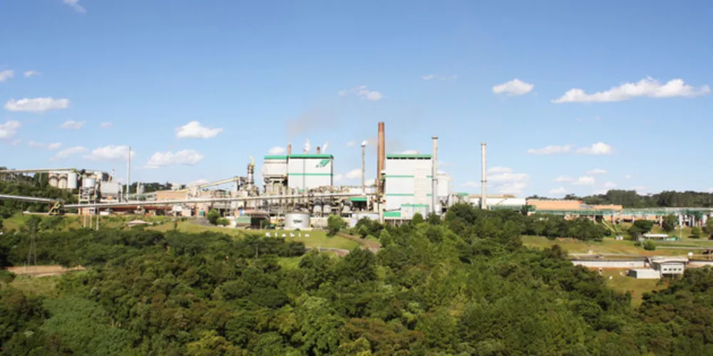 A Klabin, com unidades em Ortigueira e Telêmaco Borba, se destaca nas exportações