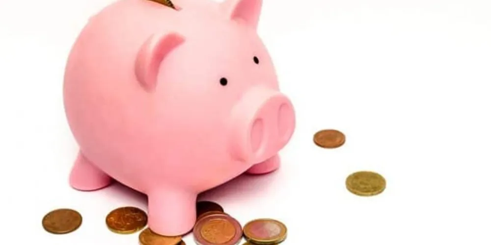 Imagem ilustrativa da imagem Como juntar dinheiro e controlar as finanças