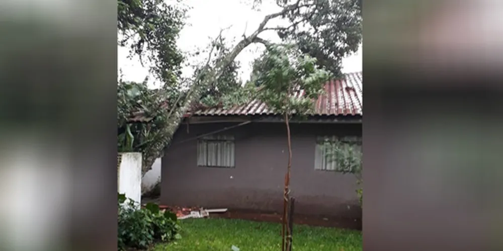 Residência no Shangrilá foi atingida por árvore durante a tempestade