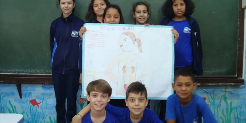 Imagem ilustrativa da imagem Sistema Urinário traz envolvimento de turma em PG