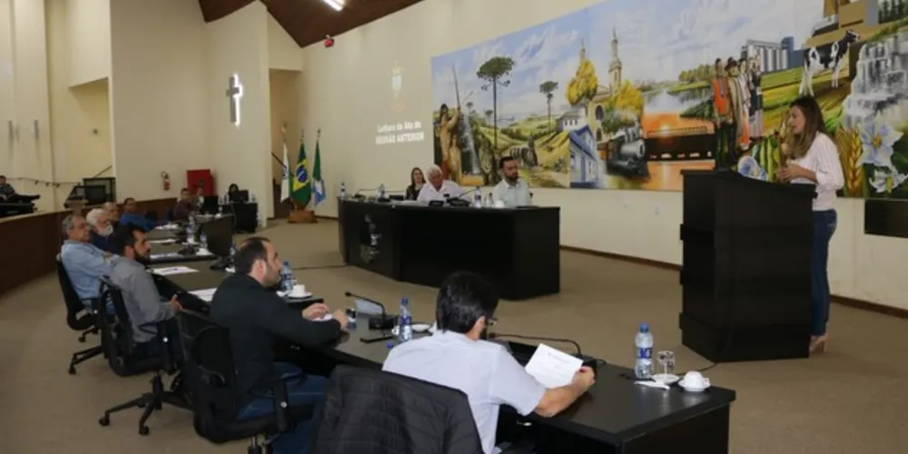 Vereadores receberam deputada eleita na quarta-feira (7).