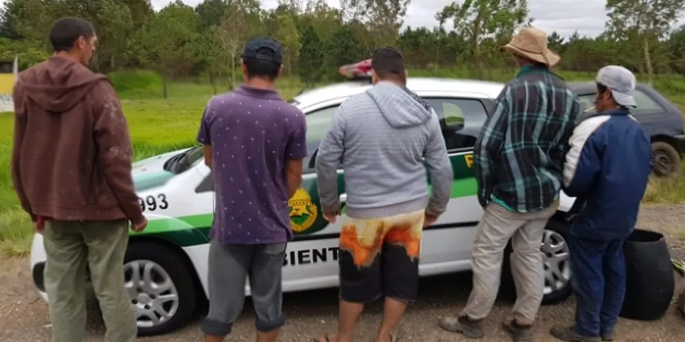 Junto com os pescadores, mais de 20 peixes, de diversos tamanhos, foram encontrados