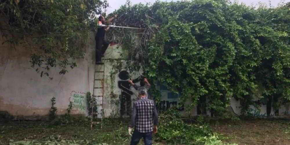 Ações de limpeza foram as principais intervenções na escola
