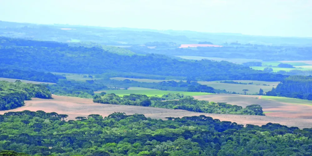Novo código florestal será tema do debate nesta quinta-feira