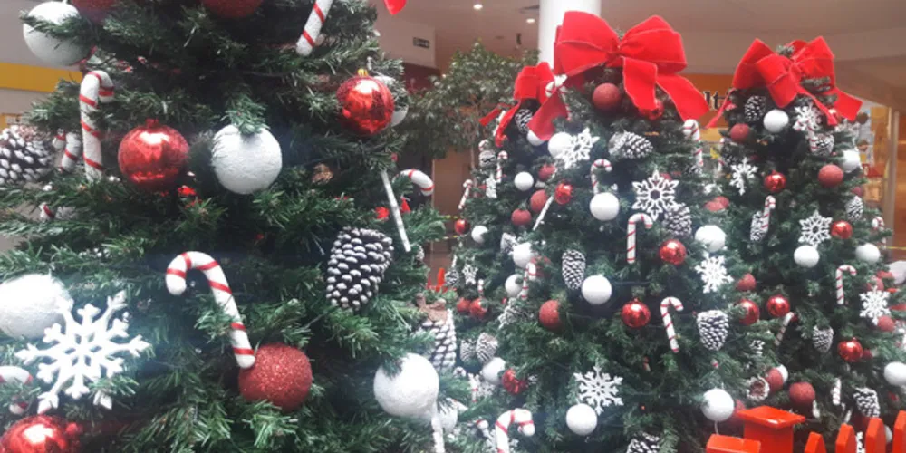 Ações no Shopping iniciam na tarde de domingo (25)