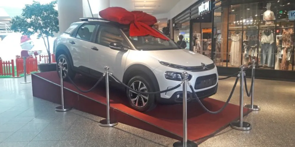 Modelo ‘Cactus’ foi lançado no mercado brasileiro neste ano