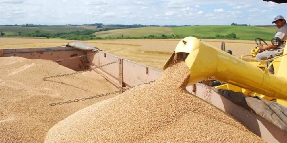 A soja é o principal produto do agronegócio brasileiro