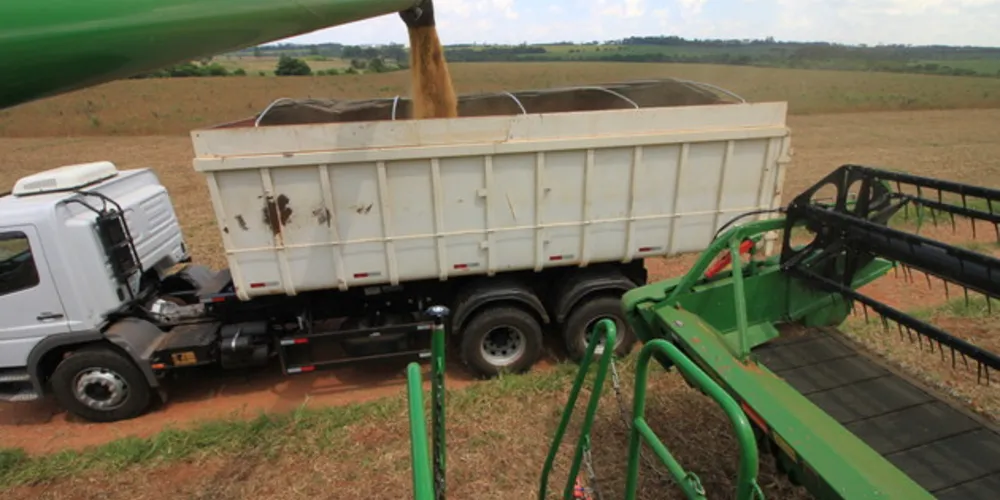  A soja amplia a liderança como o cultivar mais plantado nos Campos Gerais