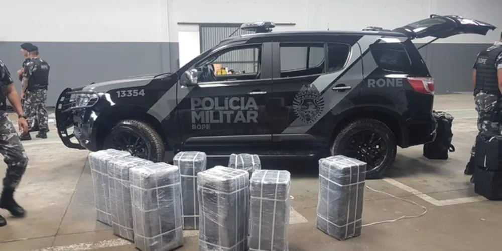 Carga total pesou 1,2 tonelada.