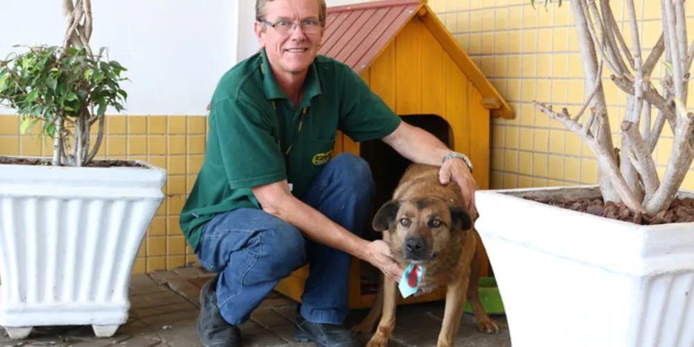Cão, além de receber cuidados, conta com uma casinha no pátio do supermercado.