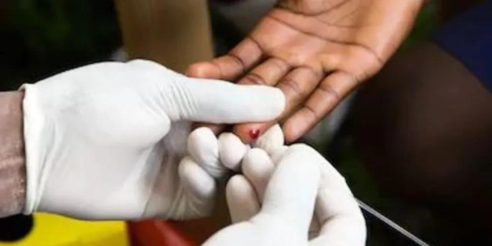  A partir de janeiro, vão ser distribuídas 400 mil unidades do primeiro autoteste de HIV..