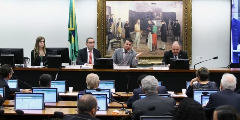 Comissão especial do Escola sem Partido foi presidida pelo deputado Marcos Rogério (DEM-RO)