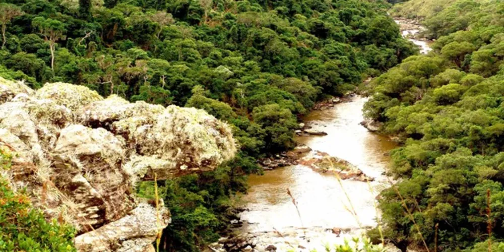 Espaço conta com 392 mil hectares e perpassa por 12 municípios paranaenses.