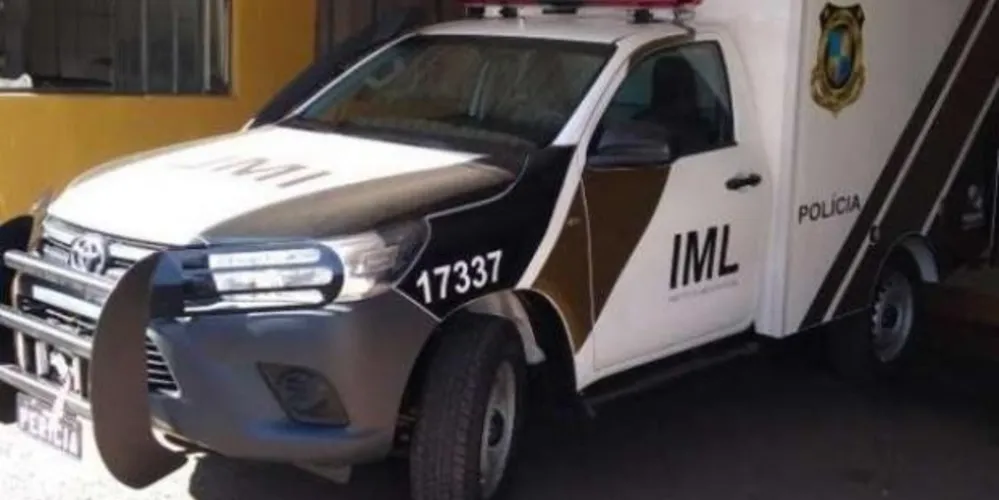 O menino foi socorrido ao Hospital da Previdência, mas não resistiu.