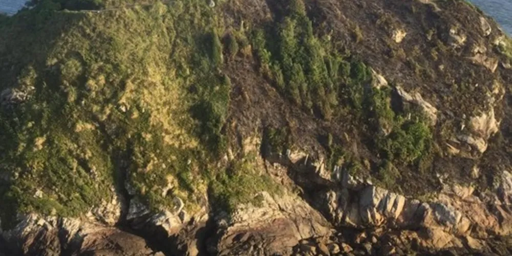 Imagens mostram estado de parte da vegetação após o incêndio