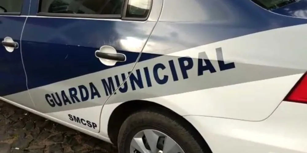 Imagem ilustrativa da imagem Homem fica furioso com cães e ateia fogo na casa