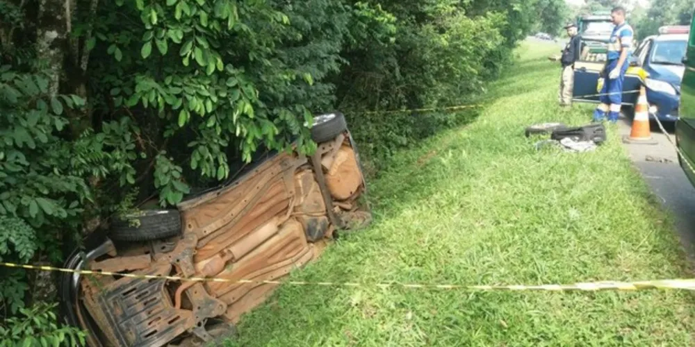 Carro saiu da pista, bateu contra placa e em seguida colidiu em árvore