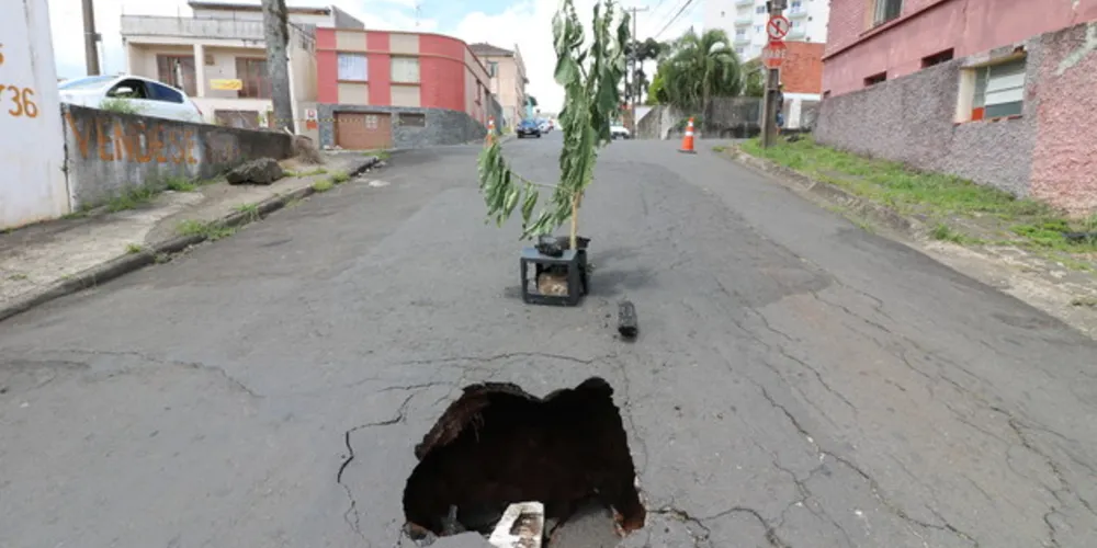Moradores colocaram galhos de árvore para alertar os motoristas