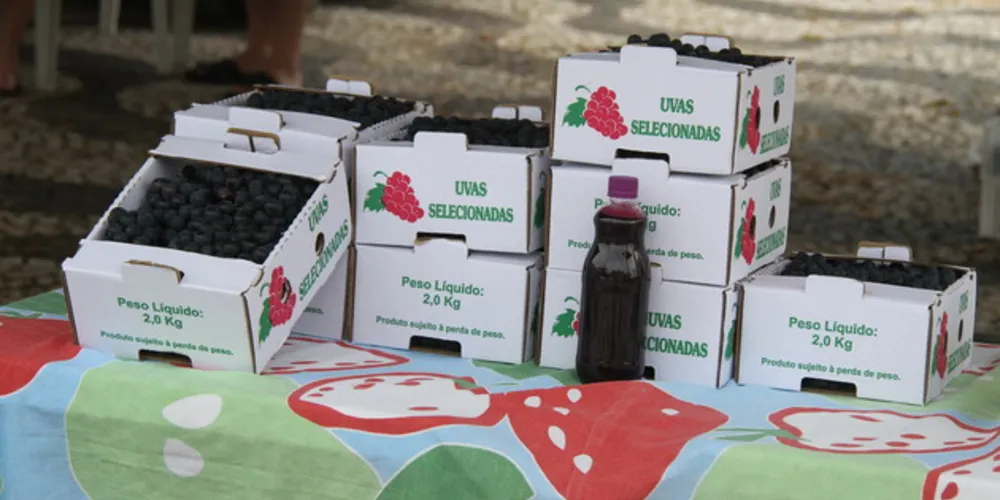 Durante a Feira, uva caixa com dois quilos de uva será vendida a R$ 12