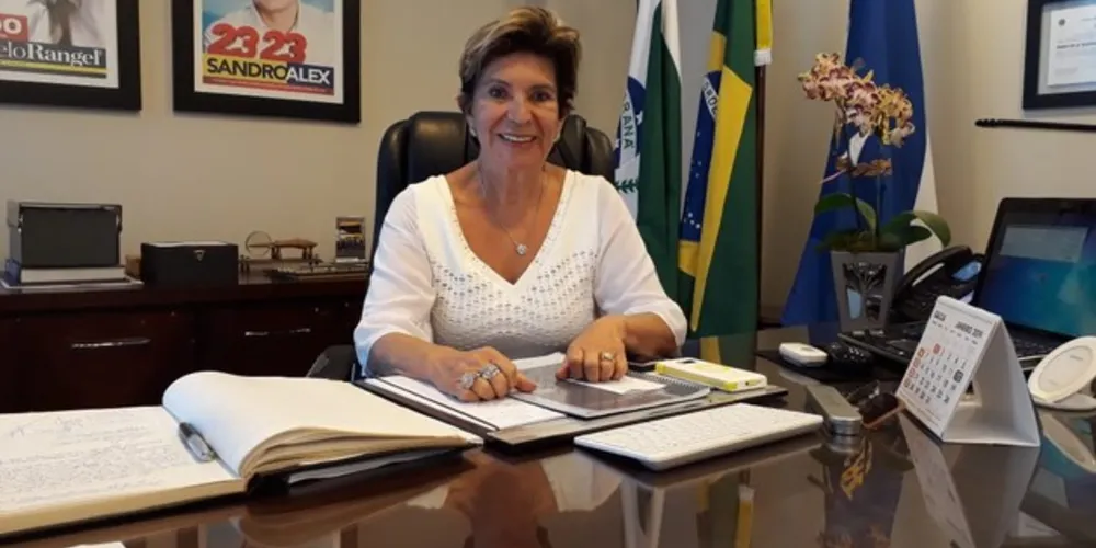 Imagem ilustrativa da imagem Obras, saúde e educação são destaque de Elizabeth na Prefeitura