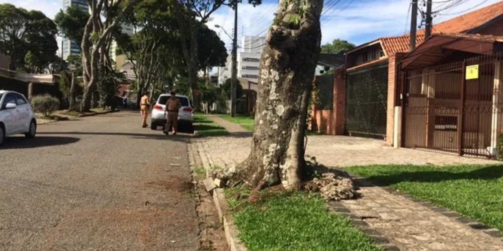Imagem ilustrativa da imagem Bandidos tentam assaltar delegada da PF e um é baleado