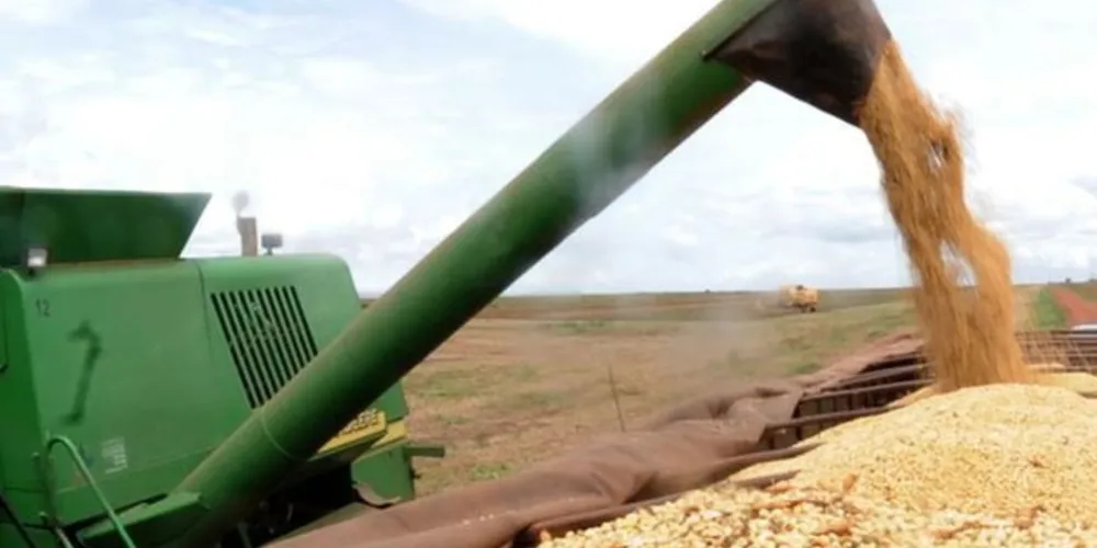 Metade do volume da produção de grãos estimada é do plantio de soja