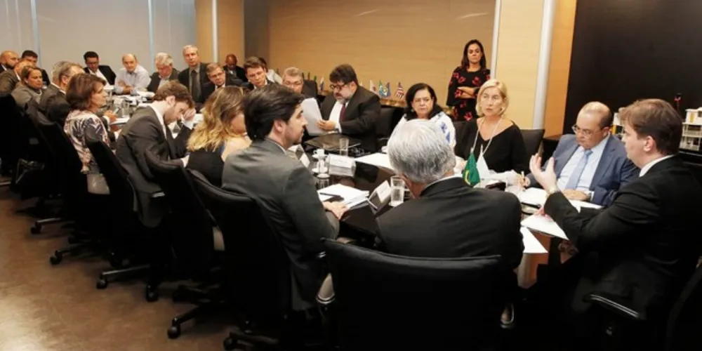 Dino Schrutt participou do encontro na capital federal