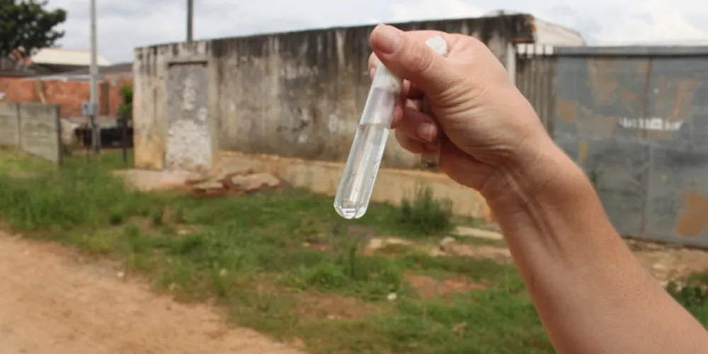 Mosquito aedes aegypti pode transmitir até três variações de vírus: dengue, Zika e chikungunya