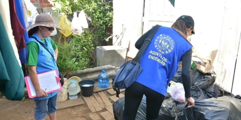 Ponta Grossa teve caso autóctone de dengue confirmado em janeiro