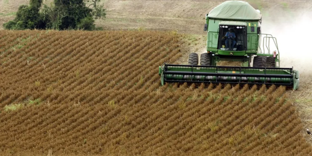 Produtividade será menor em todo o Estado do Paraná