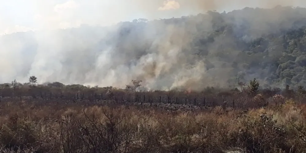 Imagem ilustrativa da imagem Equipes do 2º GB combatem incêndio no Parque Vila Velha