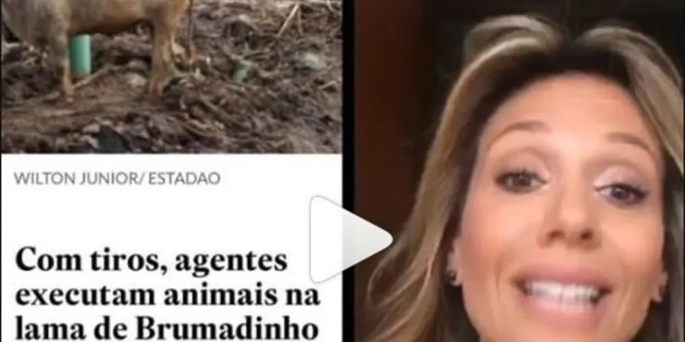 Imagem ilustrativa da imagem Luisa Mell se revolta com execução de animais em Brumadinho