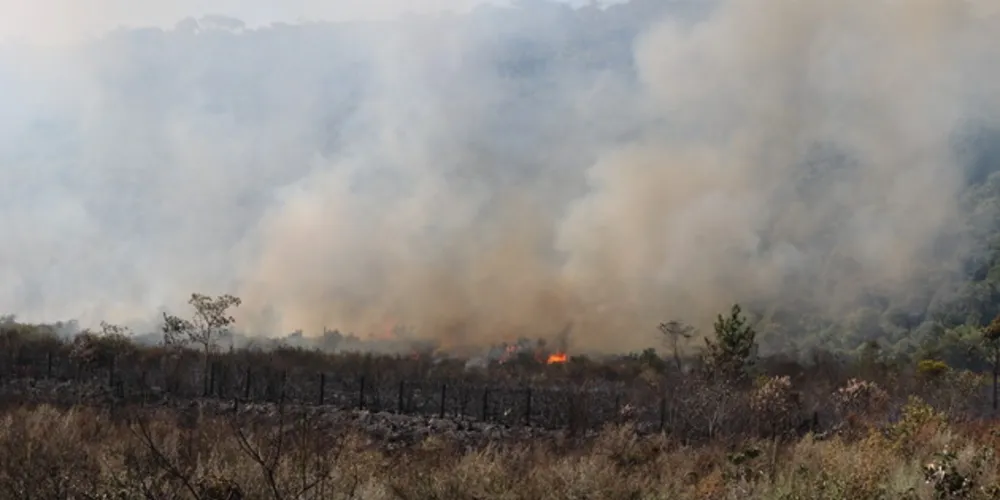 Área afetada ao lado do Parque de Vila Velha já passa de 30 hectares