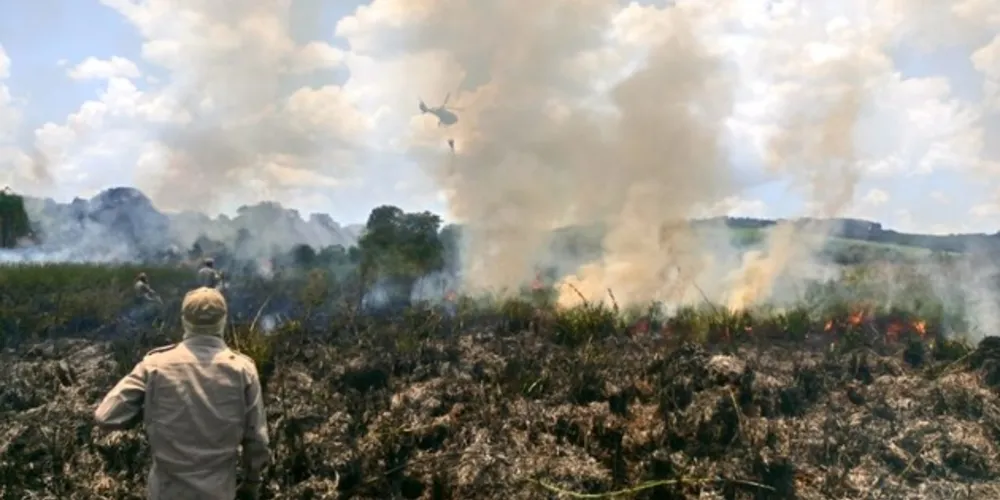 Imagem ilustrativa da imagem Incêndio em Vila Velha é controlado após 30 horas