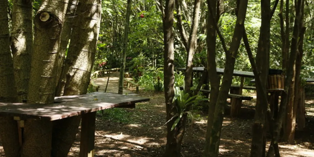 O espaço foi idealizado para aproveitar as belezas naturais do Parque e proporcionar um contato direto com a fauna e a flora do local