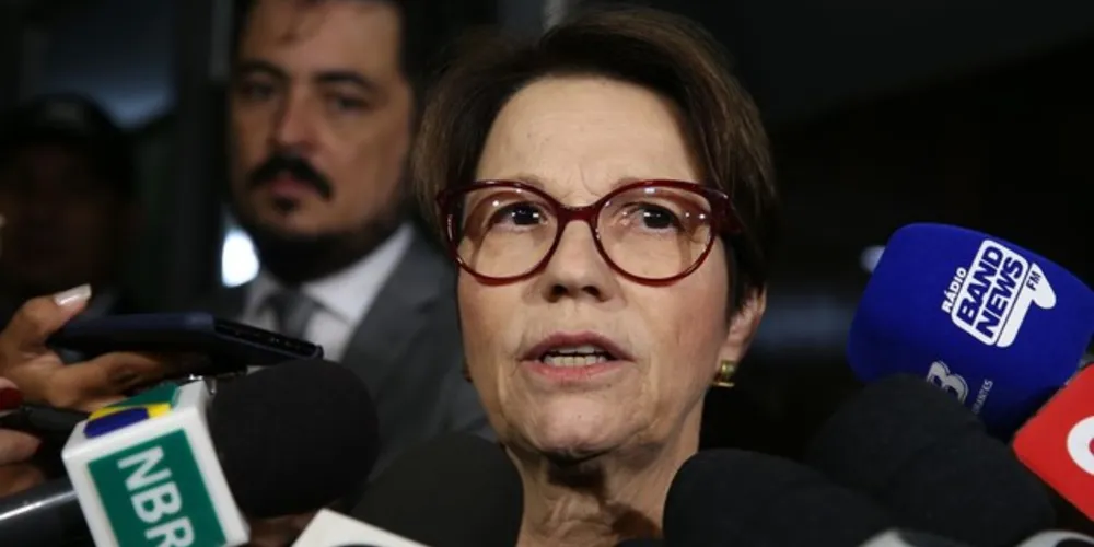 Imagem ilustrativa da imagem Ratinho Jr recebe ministra da Agricultura nesta sexta-feira