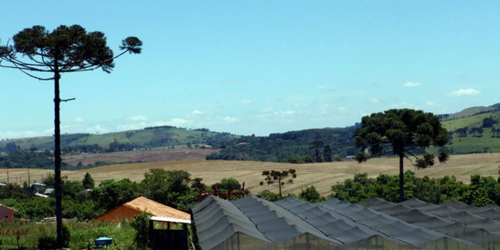 Medida foi anunciada nesta quinta-feira (7), em Cascavel, pelo governador Ratinho Junior. 