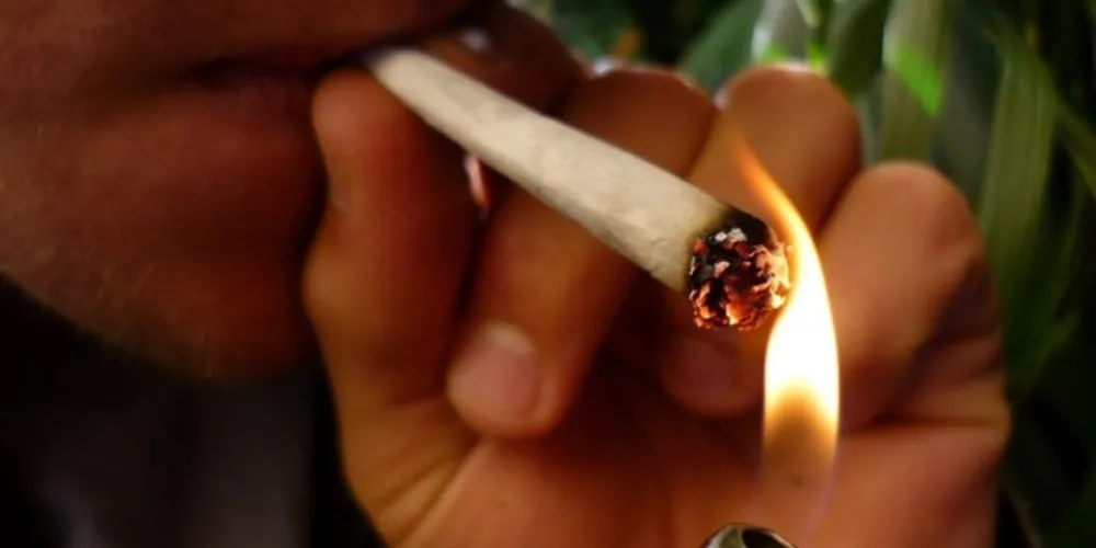 Imagem ilustrativa da imagem Proposta descriminaliza uso de drogas para consumo próprio