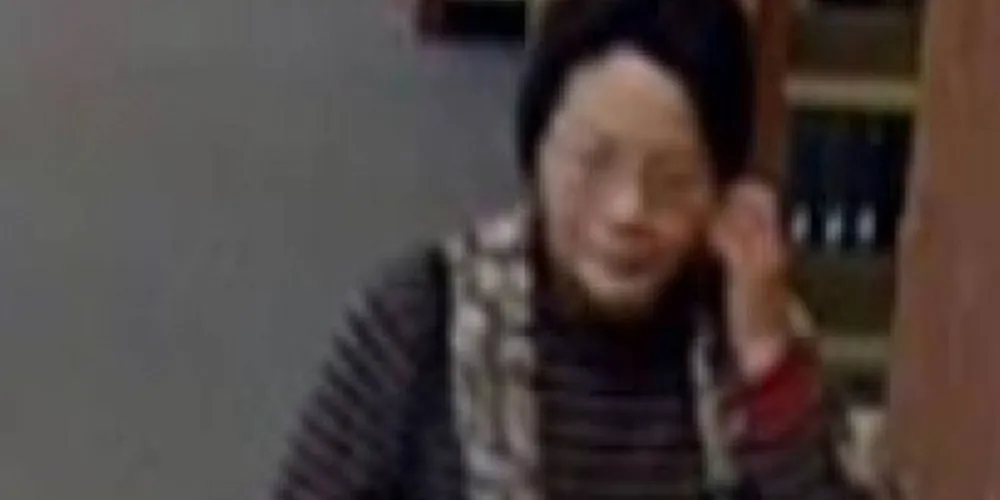 Imagem ilustrativa da imagem Mulher é procurada pela polícia por tentar desencalhar o filho