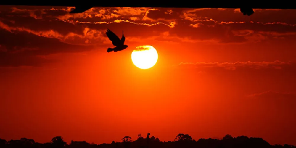 Mas não foram só as temperaturas máximas que bateram record na região, mas as mínimas também